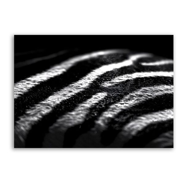 Elephants in Field Canvas Animals Wall Art