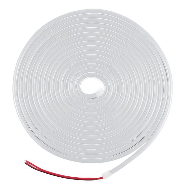 LED 5M 12V Neon Strip Lights