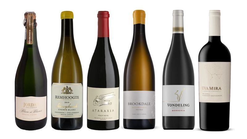 The In-Laws Are Coming Over (Case of 6)