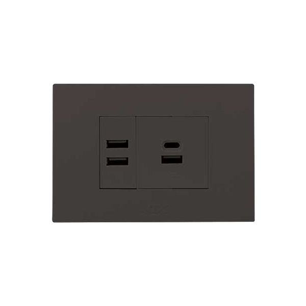 2x 2.1A USB Charger Outlet 2x4 Slate Orion Pre-Assembled