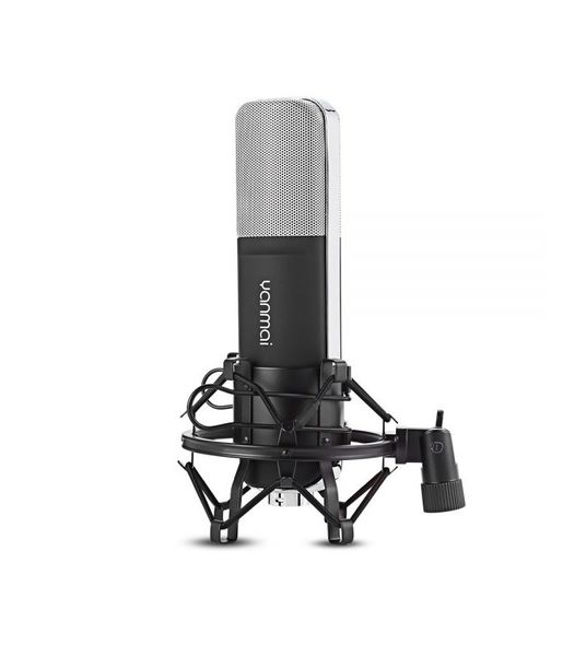 DW Yanmai Professional Studio Condenser Sound Recording Microphone -Q8
