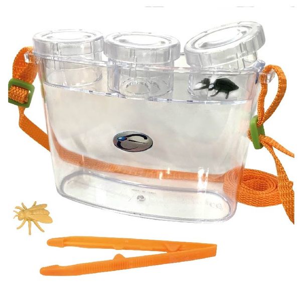 3D Bug Viewer for Kids