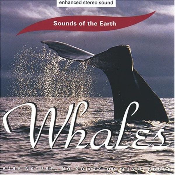 Sounds of the Earth - Whales