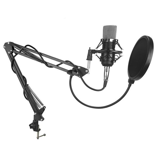 Professional Recording Stand Microphone