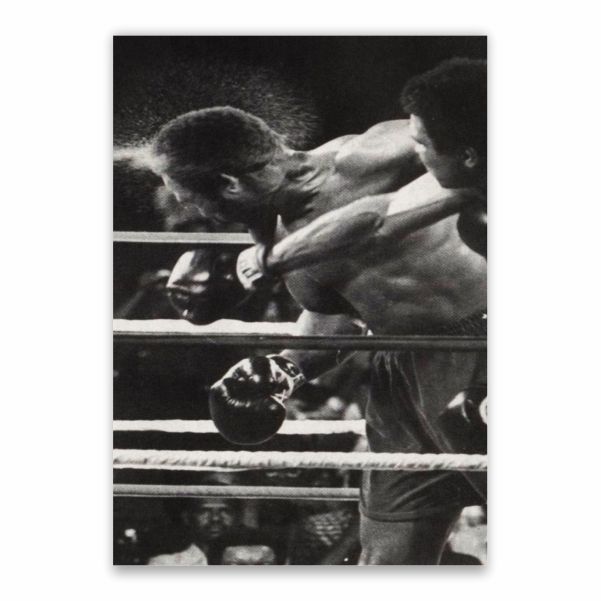 muhammad ali 12 punches