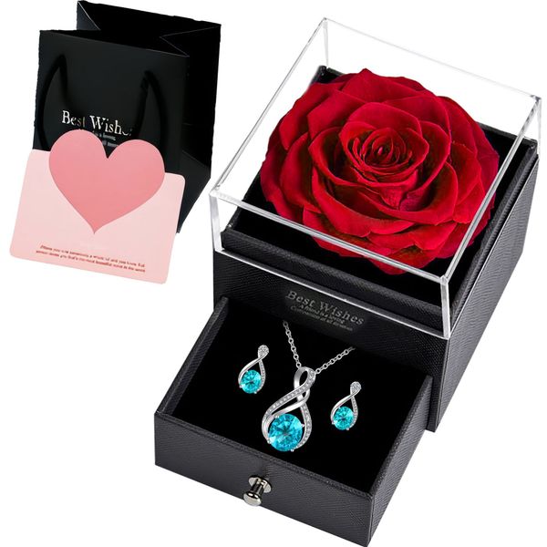 Infinite Love Teardrop Pendant Necklace with Earrings