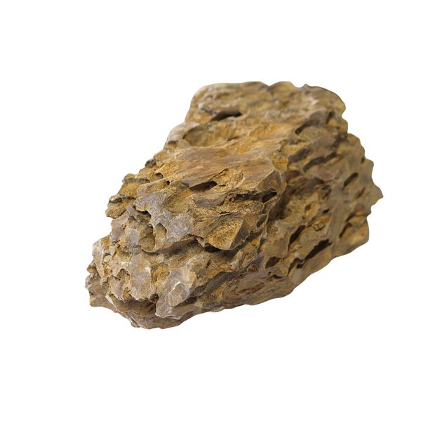 Dragon Rock - Ignite the Magic of Nature in Your Garden or Aquarium!