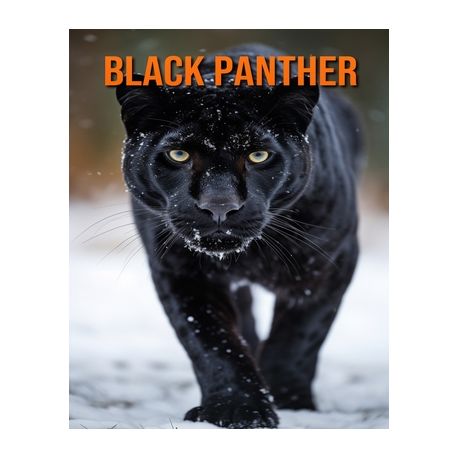 Black Panther Facts For Kids - Black Panther Information For Kids