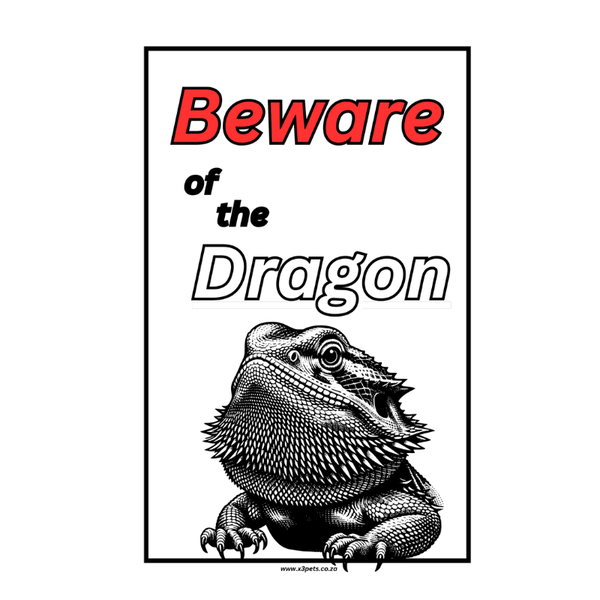 Beware of the Dragon Sign Dragon - 30cm x 20cm x 1mm Wide