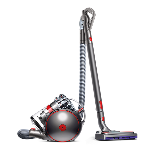 Dyson Cinetic Big ball AnimalPro 2