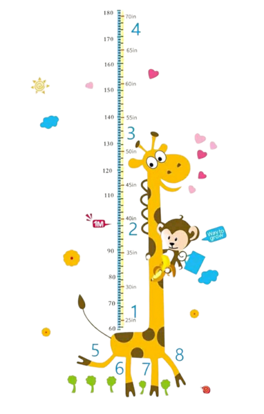 Wall Sticker - Height Measurement