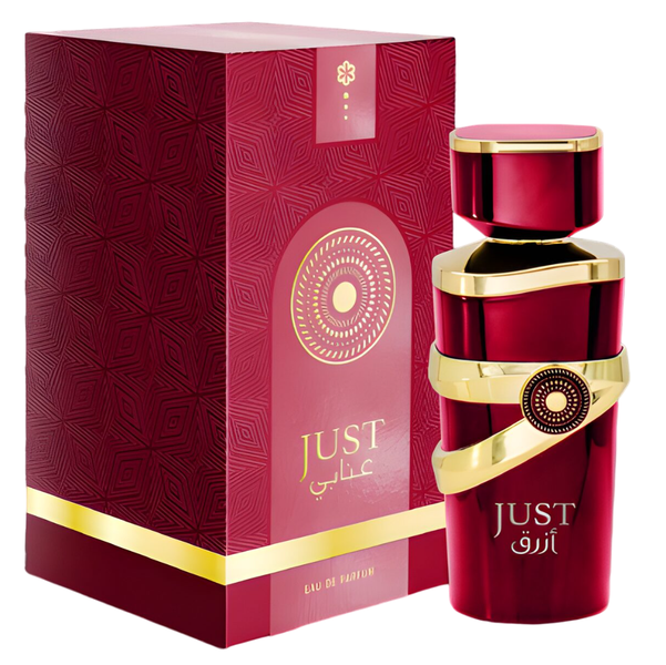 Just Anabi Eau De Parfum 100ml Perfume