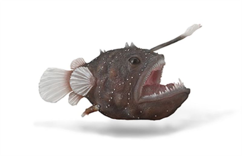 Collecta Sea Life Xl Anglerfish