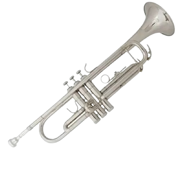 Trumpet with light case - silver