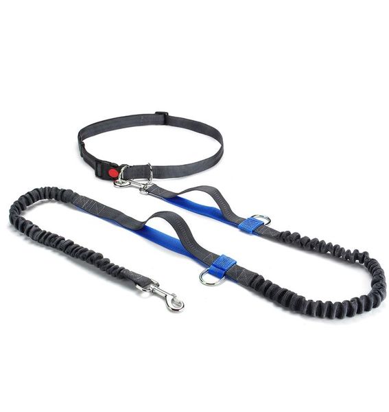 Dog Leash - Grey &amp; Blue