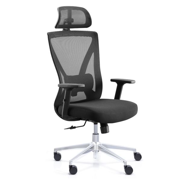 Office Pro - Elysium Nexa Ergonomic Office Chair