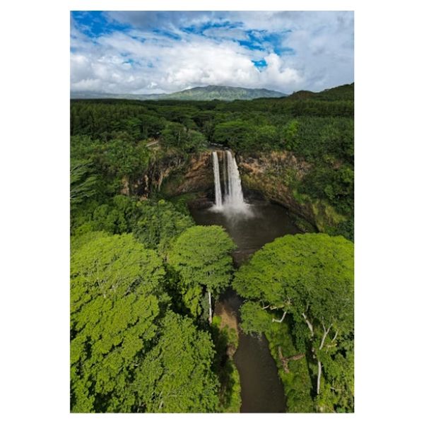 Waterfall in a Lush Forest - A1 Poster