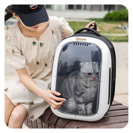 A PET Pet Bubble Backpack Tinted High Ventilation Collapsible Shop Today. Get it Tomorrow takealot