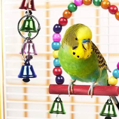 10 Pack Bird Cage Toys Parrot Toys Pet Bird Toys