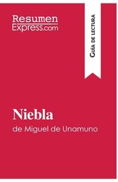 Niebla De Miguel De Unamuno (Gu?a De Lectura): Resumen Y An?lisis ...