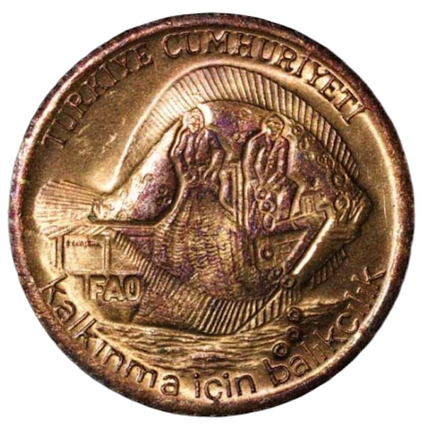 1980 Turkey 5 Kurus Fao Turbot Fishing Commemorative