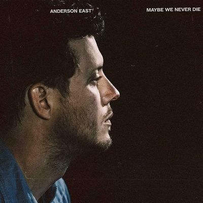 Maybe We Never Die (Vinyl / 12" Album)