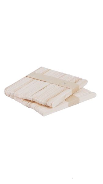 100 Professional Nail and Beauty Lip Spatula