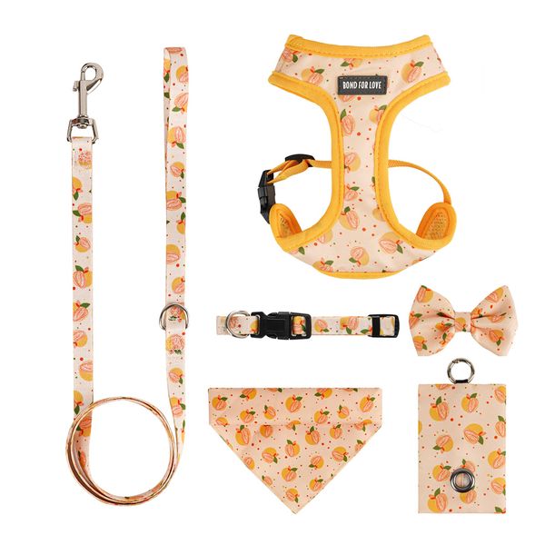 Dog Collar &amp; Leash Set: 6-Piece Kit with Harness/Scarf/Bow Tie/Poop Bags