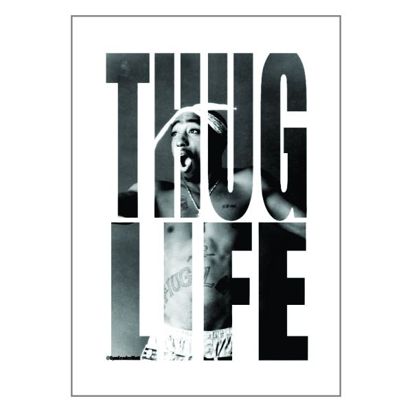 2 Pac Thug Life