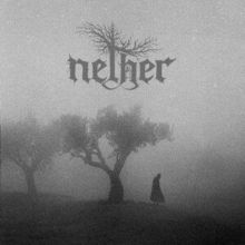 Between Shades and Shadows (CD / Album)
