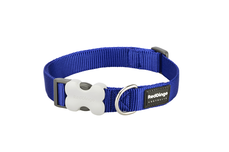Red Dingo Dog Collar - Classic - Medium