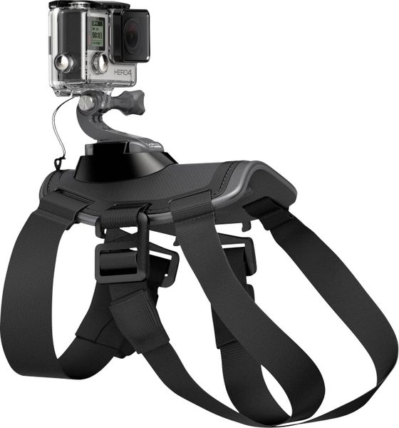 GoPro "Fetch" Dog Harness