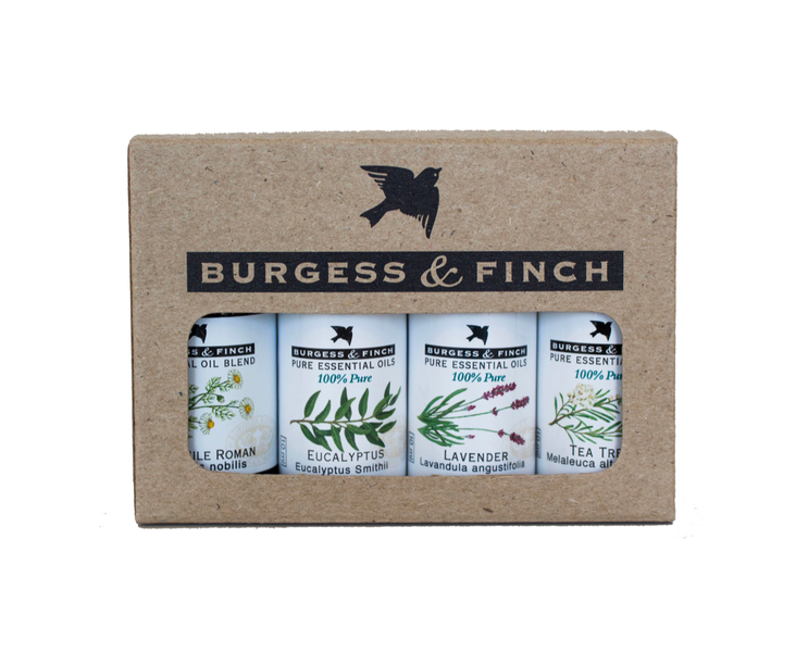Burgess &amp; Finch Medicine Box