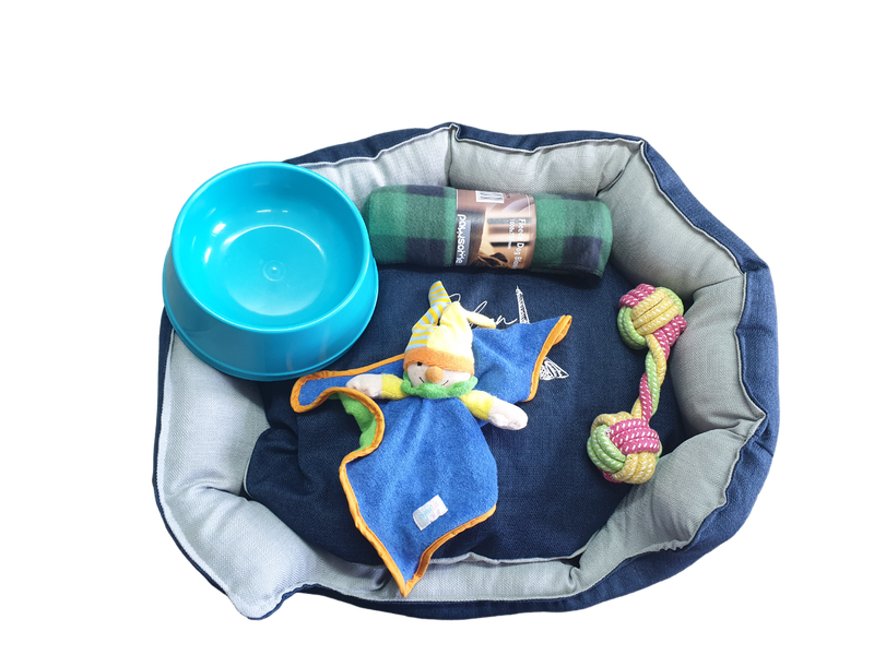 Puppy Starter Kit Pink - Large Breed
