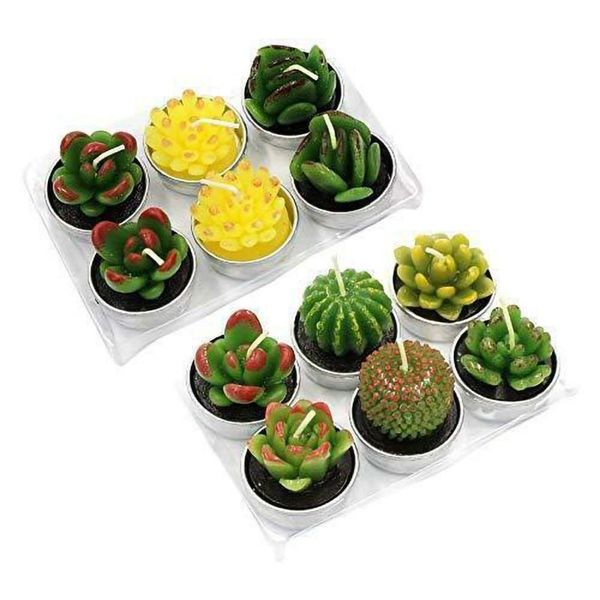 Candle Succulent Plants Cactus set of 12