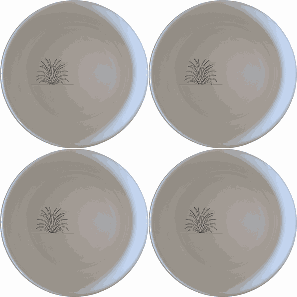 Tillandsia Air Plants Bowl Set of 4 - Range 2