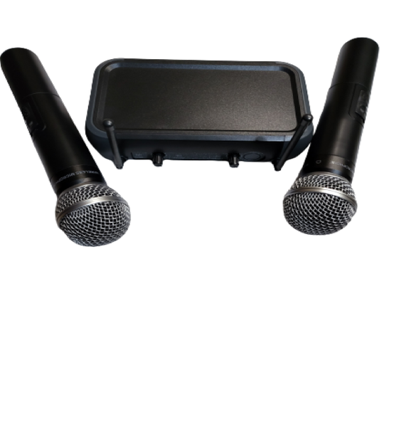 Professional UHF Wireless Dual Handheld Microphone System