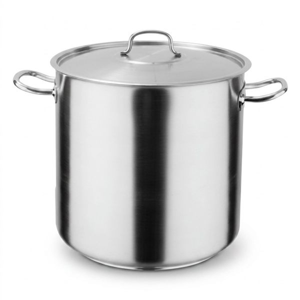 Pujadas Inox Pro Stainless Steel Stock Pot With Lid