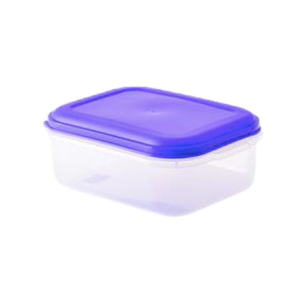 Foodsaver Container - 1.6 Litre- Pack Of 2