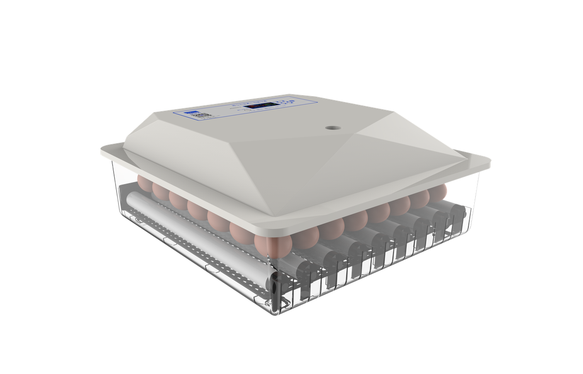 64 Egg Incubator Dual Power Buy Online in South Africa