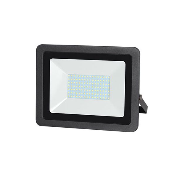 ACDC - 230VAC 100W RGBW Floodlight With Remote