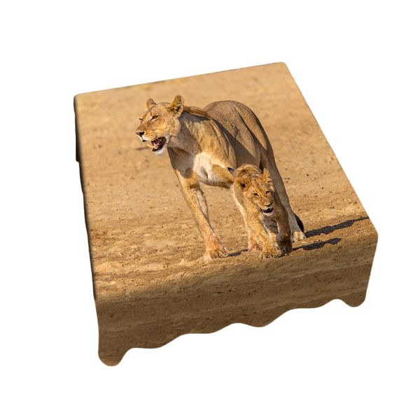 Thumbnail product image - 0