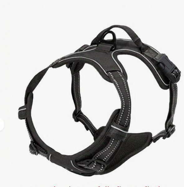 Dog Harness, No-Pull Pet Harness With 2 Leash Clips and leash- Small