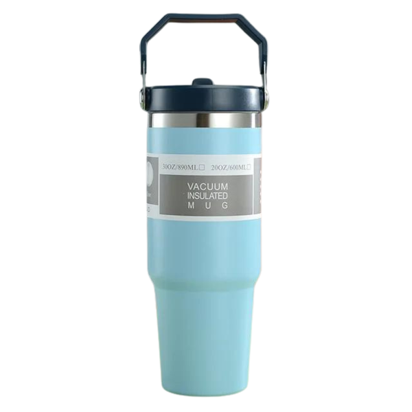 Stainless Steel Straw Cup Tumbler with Straw Lid