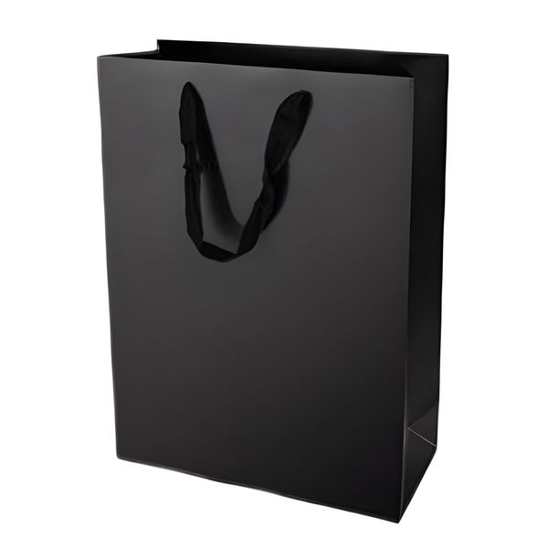 12 Pack Premium Black Paper Gift Bags - Medium