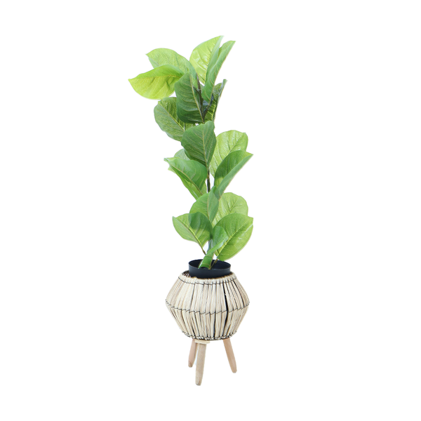 Slim Fiddle Leaf Fig - Faux Plant in Decorative Basket Base