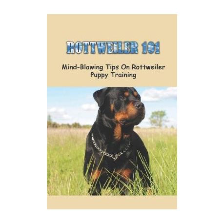 Rottweiler 101: Mind-Blowing Tips On Rottweiler Puppy Training: Rottweilers  Training Tricks | Buy Online in South Africa 