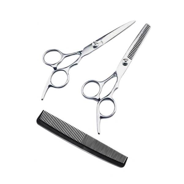 2 Piece Professional Hair Cutting &amp; Thinning Scissors Set Shears with Comb