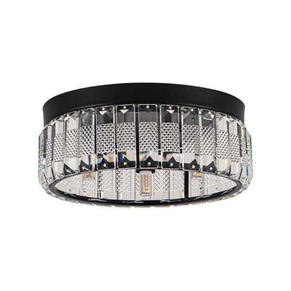 9.6 Inch Modern Black Small Size Glass Ceiling Light-MRUL