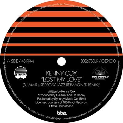 Lost My Love (DJ Amir &amp; Re.Decay Jazz Re.Imagined Remix) (Vinyl / 12" Album)